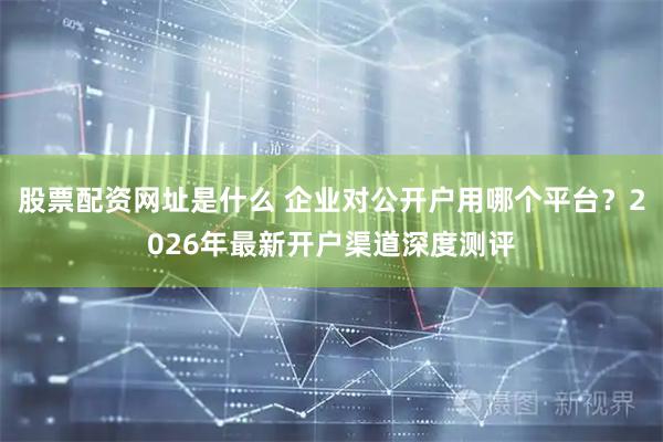 股票配资网址是什么 企业对公开户用哪个平台？2026年最新开户渠道深度测评